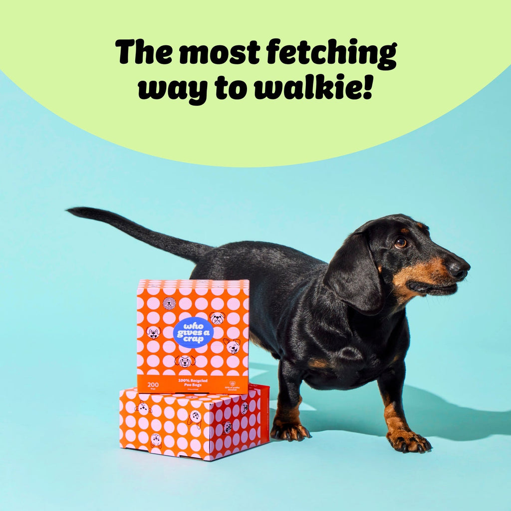 100% Recycled Dog Poo Bags
